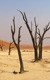 Namibie, naděje a budoucnost