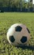 Fotbal: Planeo Cup