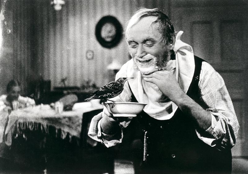 tyden v tichem dome film