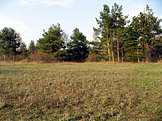 Kamenný vrch (foto: Dezidor, wikimedia.org)